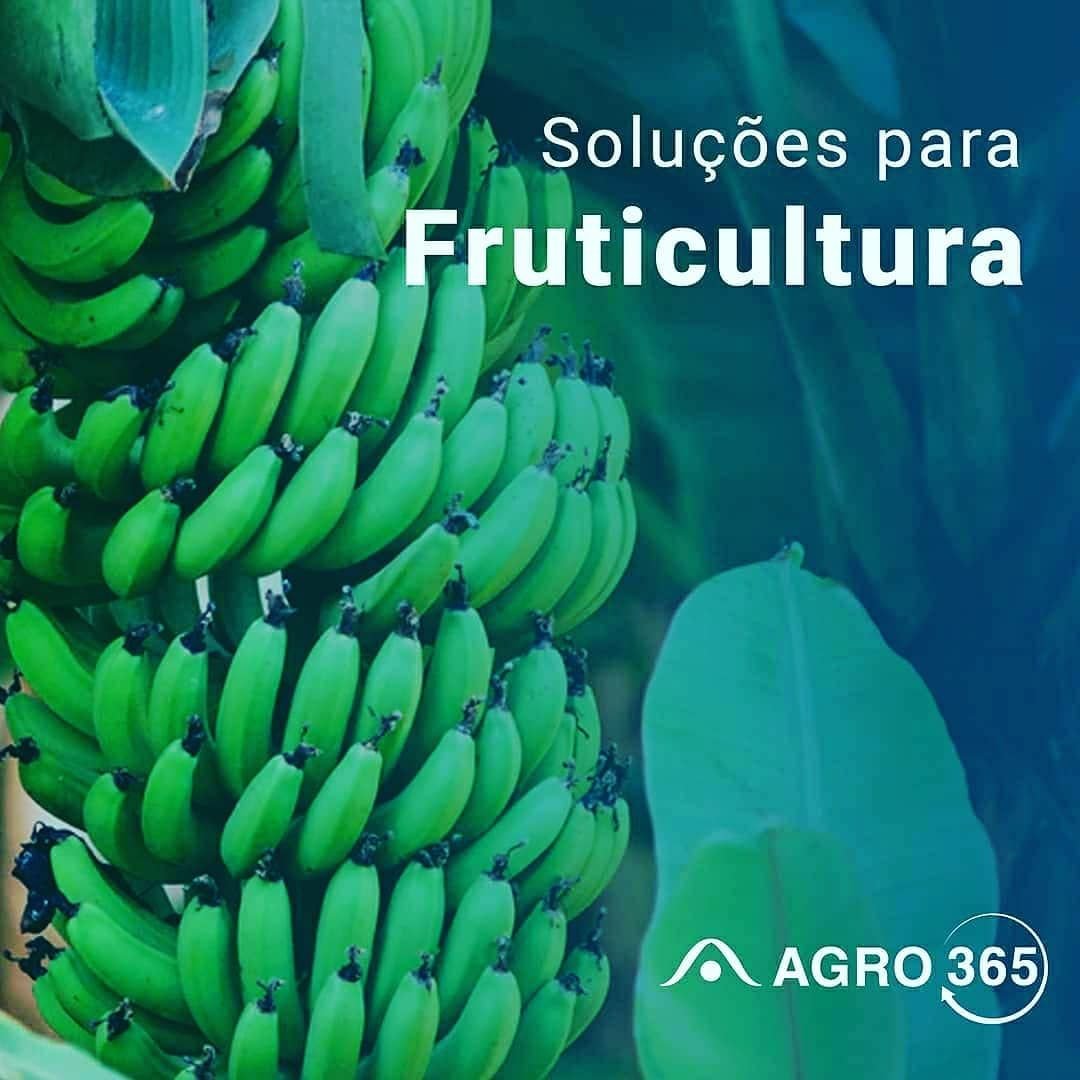 cupom de desconto agro 365 fruticultura